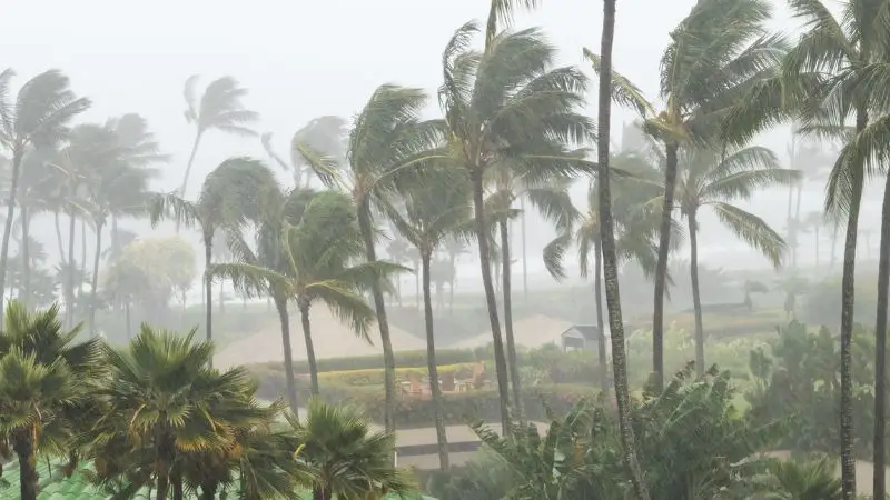 Insurers Temporarily Blocked from Dropping Policies in Florida